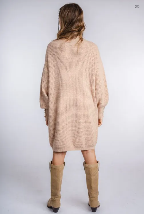 Silk Salt Turtleneck Dress One Size