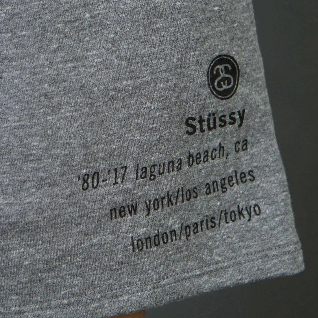 Stussy Women 80 17 Gym Shorts (gray / heather)