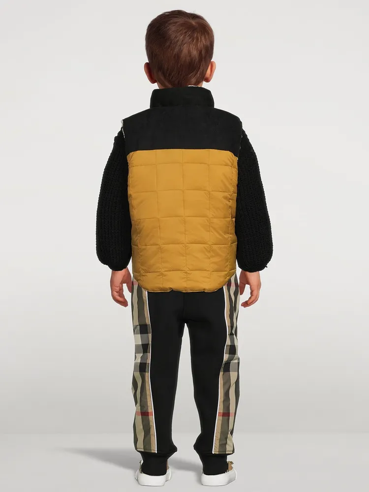 TAION Down X Boar Reversible Mountain Vest